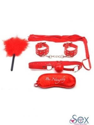 BDSM Sex Kit Bracelet+Whip+Goggles+Feather+Mouth Ball Gag- sextoyinsadarbazaar.com